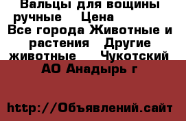Вальцы для вощины ручные  › Цена ­ 10 000 - Все города Животные и растения » Другие животные   . Чукотский АО,Анадырь г.